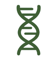 DNA icon